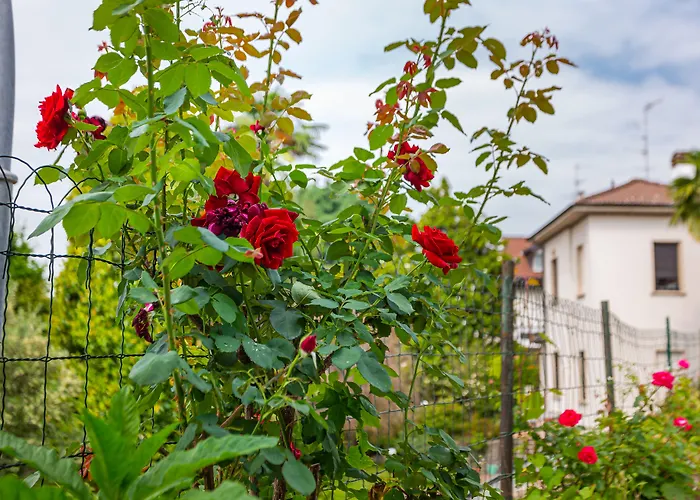 Pasta Residence Italia MalpensaAlbergo